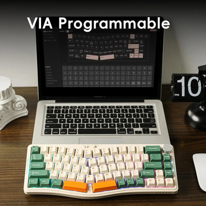 MAMBASNAKE x Ajazz AKS068 Pro 68 Keys Alice-Layout VIA Programmable Gasket Mechanical Keyboard