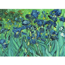 Load image into Gallery viewer, 5D Diamond Painting by Number Van Gogh Starry Night Famous Art Picture Set for Embroidery Cross Stitch Home Decorations Gifts

