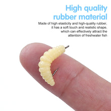 Load image into Gallery viewer, 30PCS Artificial Breadworms Fishing Bait with Hooks Realistic Fake Hooked Worm Bait High Elasticity Rubber Fishing Bait
