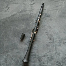 Load image into Gallery viewer, Made in Japan Clarinet 17 Key Falling Tune B /bakelite pipe body material Clarinet Woodwind Instrument
