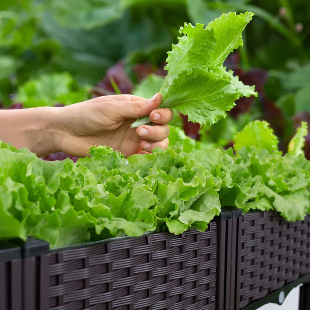 Plastic Raised Garden Bed with Legs Raised Bed W/Drainage Holes Planter Container for Vegetables Fruits Flowers Herbs