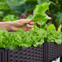 Load image into Gallery viewer, Plastic Raised Garden Bed with Legs Raised Bed W/Drainage Holes Planter Container for Vegetables Fruits Flowers Herbs
