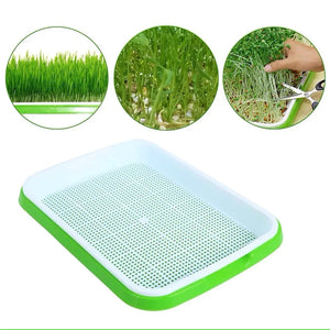 Germination Tray Seed Germination Tray Seedling Tray Wheatgrass Seed Planting Soilless Cultivation Planting Pot