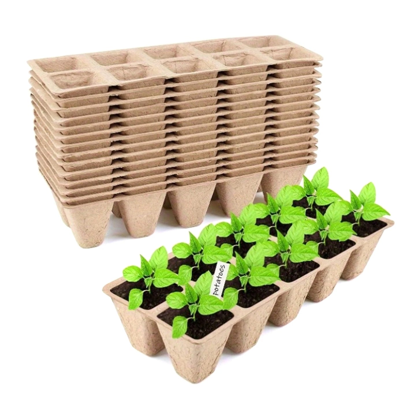Seed Starter Tray Plants Growing Trays Germination Trays Organic Plant Starter Kit for Seed Growing Germination