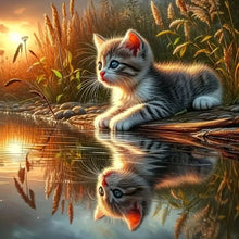 Load image into Gallery viewer, Cat Diamond Painting 5D DIY Diamond Mosaic Animal Picture Of Rhinestones Decoration For Home Kitten
