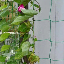 Load image into Gallery viewer, 1 package Garden Grid Net for Climbing, Plant Climbing Vine Net, Green Garden Square Grid
