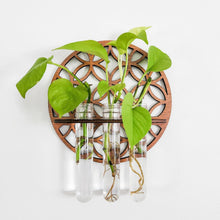 Load image into Gallery viewer, Garden Wall Planters Indoor Wooden Circle Plant Hanger Wall Hanging Flower Vase Rack with 3 Test Tubes Plant Propagation Station
