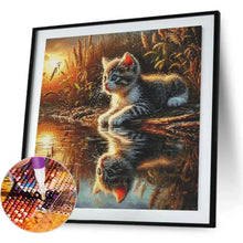Load image into Gallery viewer, Cat Diamond Painting 5D DIY Diamond Mosaic Animal Picture Of Rhinestones Decoration For Home Kitten
