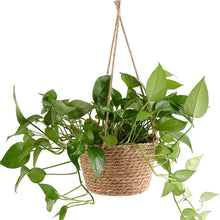 Load image into Gallery viewer, Garden Hanging Planter Macrame Plant Storage Basket Jute Rope Woven Indoor Outdoor Flower Pot Holder Plant Hangers Home Decor
