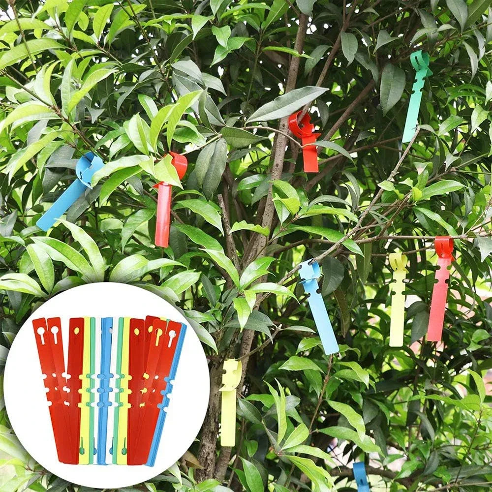 Garden Grafting Tools Set Professional Branch Cutter Secateur Pruning Plant Shears Boxes Fruit Tree Grafting Scissor Pruner Tool