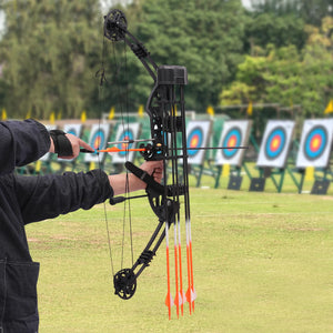 Compound Bow Kit 30~60lbs, Archery Hunting Bow Set with12 arrows and bullseye paper, Right Hand Compound Bow Arrow Set