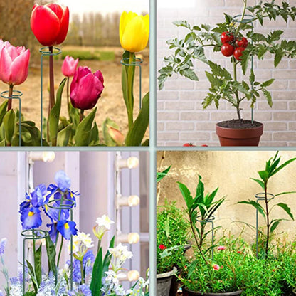 4 PCS Plant Support Stake,Garden Flower Support Stake Steel Single Pole Support Stake Plant Cage Support Ring