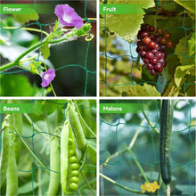 Load image into Gallery viewer, 1 package Garden Grid Net for Climbing, Plant Climbing Vine Net, Green Garden Square Grid
