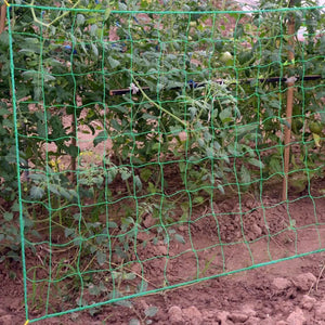 1 package Garden Grid Net for Climbing, Plant Climbing Vine Net, Green Garden Square Grid