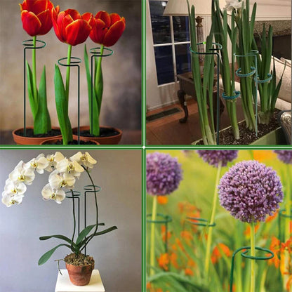 4 PCS Plant Support Stake,Garden Flower Support Stake Steel Single Pole Support Stake Plant Cage Support Ring