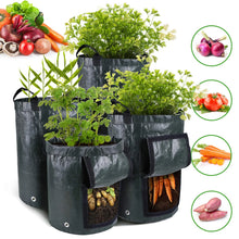 Load image into Gallery viewer, Potatoes Grow Bags 3/5/10 Gallon Gardening Plant Growing Bags for Potato Tomato Carrot &amp; Other Vegetable Planter Container
