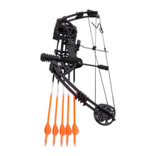 Load image into Gallery viewer, Compound Bow Kit 30~60lbs, Archery Hunting Bow Set with12 arrows and bullseye paper, Right Hand Compound Bow Arrow Set
