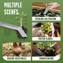 Load image into Gallery viewer, Seedling Transplant Tongs, Stainless Steel Seedling Remove Transplanting Pliers,   Reducing Root Damage (2PCS, Medium)
