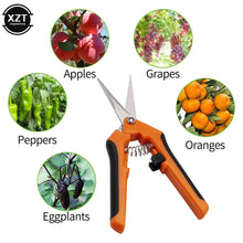 Load image into Gallery viewer, Garden Tools Secateurs Orchard Picking Gardening Scissor Pruning Tool Home Potted Hand Trim Weed Branches Flower Sharp Shears

