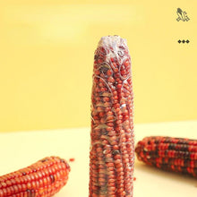 Load image into Gallery viewer, Hamster Food Staple Food Molar Toys Golden Bear Rabbit Chinchilla Molar Corn Cob Molar Snack Hamster Toys
