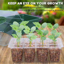 Load image into Gallery viewer, 1pc, Green Seedling Pot, Household Outdoor Seedling Plug Tray, Special Pot Nutrition Cup, Plastic Rectangular Tray, Cutting Seedling Artifact
