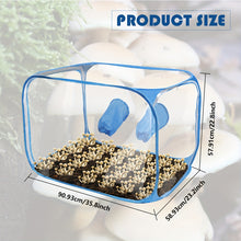 Load image into Gallery viewer, 1pc PVC Mushroom Growing Still Air Box, Portable Foldable Pop Up Mushroom Grow Tent, Mushroom Growing Container
