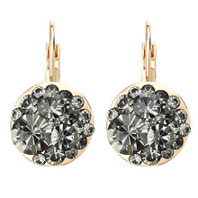 Load image into Gallery viewer, 1 Pair of Exquisite Vintage-Inspired Drop Earrings for Women, Elegant Accessories
