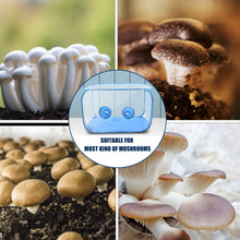 Load image into Gallery viewer, 1pc PVC Mushroom Growing Still Air Box, Portable Foldable Pop Up Mushroom Grow Tent, Mushroom Growing Container
