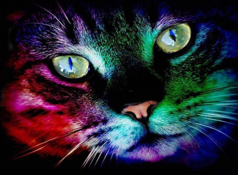 5D Diamond Painting Colorful Pet Cat Bead Art DIY Painting Full Round Drill Diamond Ships from USA