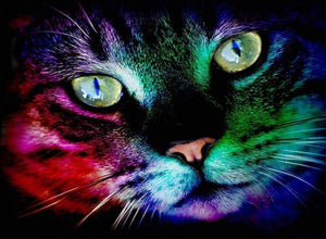 5D Diamond Painting Colorful Pet Cat Bead Art DIY Painting Full Round Drill Diamond Ships from USA