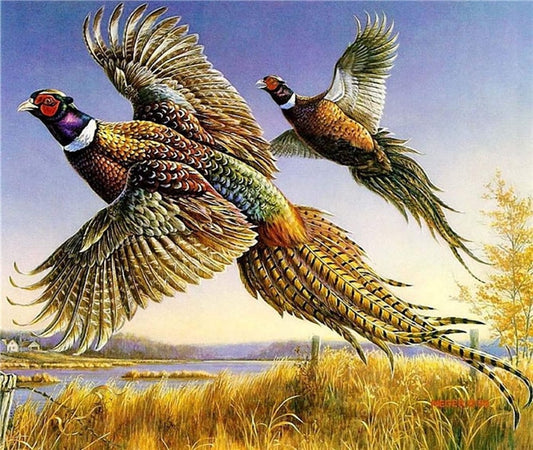 DIY Full Round Diamond Painting Kit Game Bird Cross Stitch Embroidery Mosaic Midwest Pheasant Grassland Bird Ships from USA