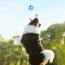 Load image into Gallery viewer, Pet Dog Squeaky Toys Ball Puppy Chew Toys Squeak Sound Pure Natural Non-Toxic Rubber Outdoor Play Small Big Dog Funny Elasticity Ball
