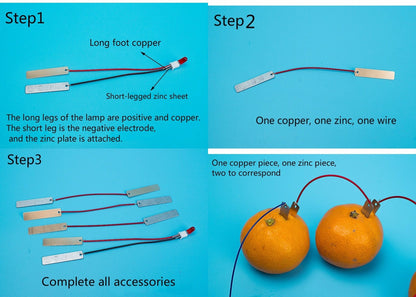 Bio Energy Science Kit Potato Fruit Supply Electricity Experiments Kids Children Student Learining Science Educational Toy