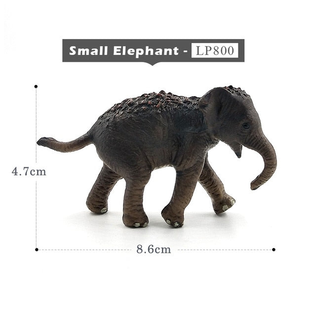 Simulation Squirrel Elephant Parrot Wombat Animal model figurine home decor miniature fairy garden decoration accessories figure