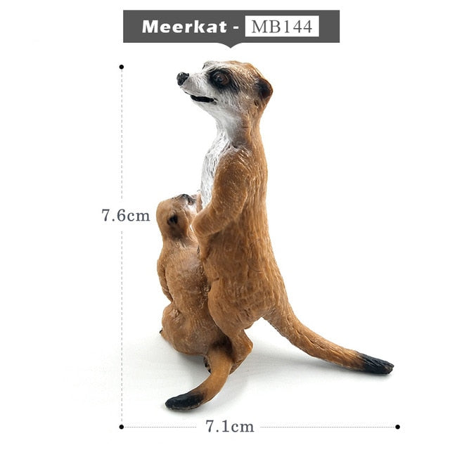 Simulation Squirrel Elephant Parrot Wombat Animal model figurine home decor miniature fairy garden decoration accessories figure