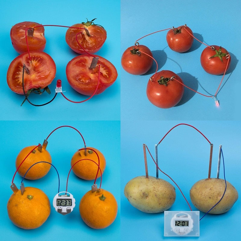 Bio Energy Science Kit Potato Fruit Supply Electricity Experiments Kids Children Student Learining Science Educational Toy