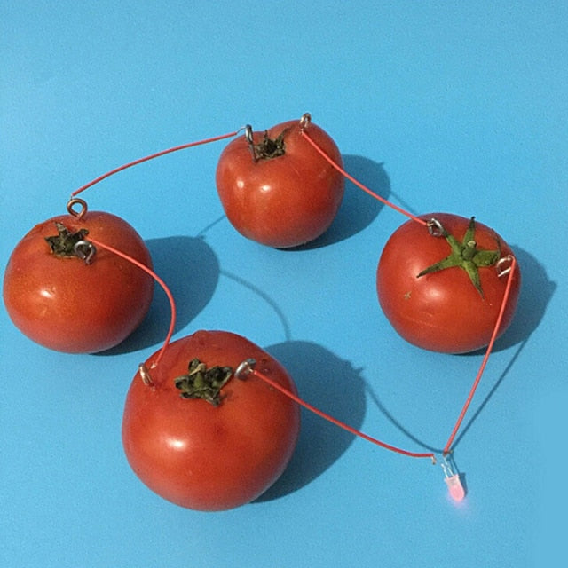 Bio Energy Science Kit Potato Fruit Supply Electricity Experiments Kids Children Student Learining Science Educational Toy