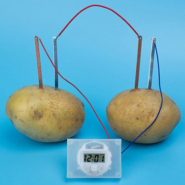 Bio Energy Science Kit Potato Fruit Supply Electricity Experiments Kids Children Student Learining Science Educational Toy